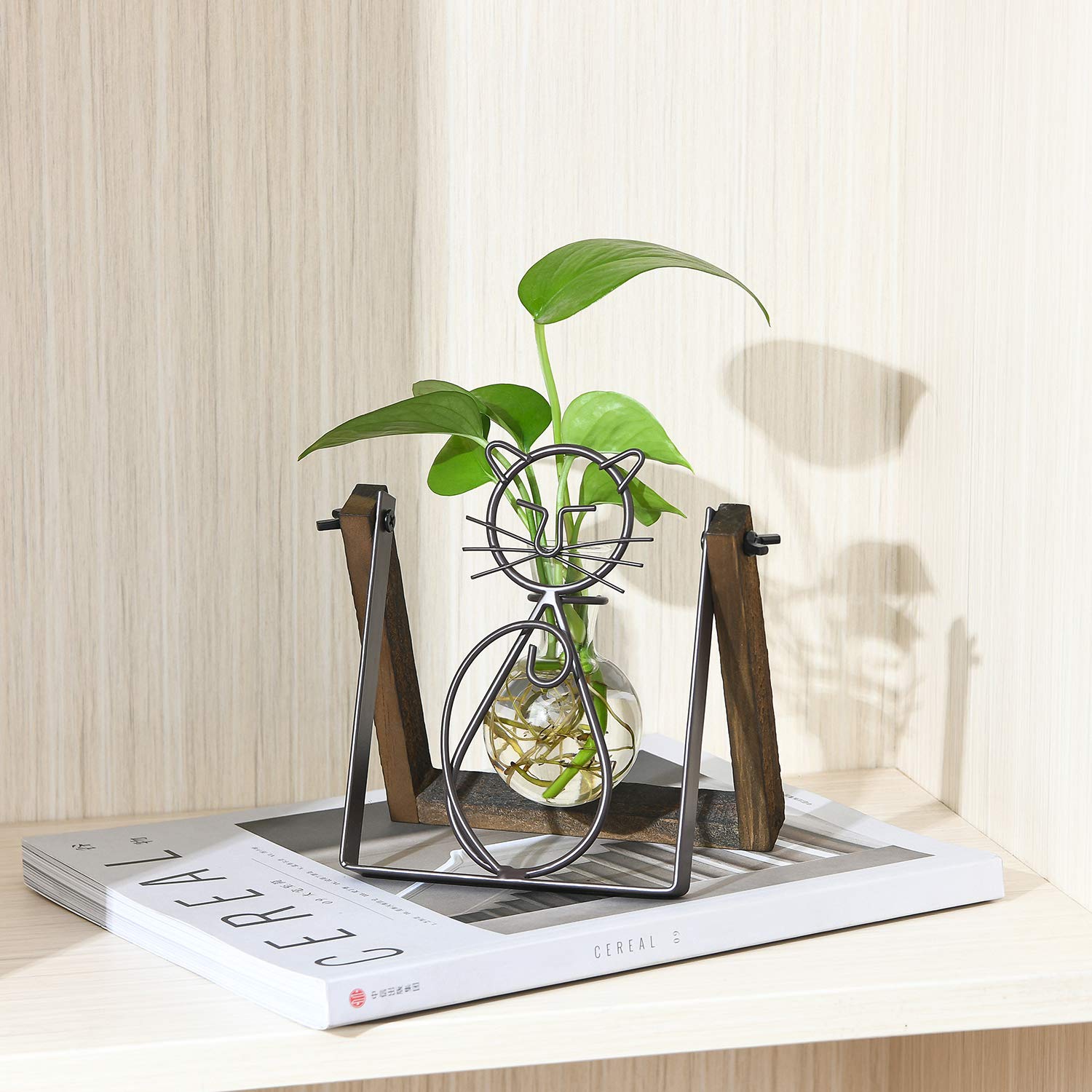 Macetero De Cristal Con Soporte De Madera Para Escritorio - Terrario Hidropónico, Decoración Para Hogar Y Oficina