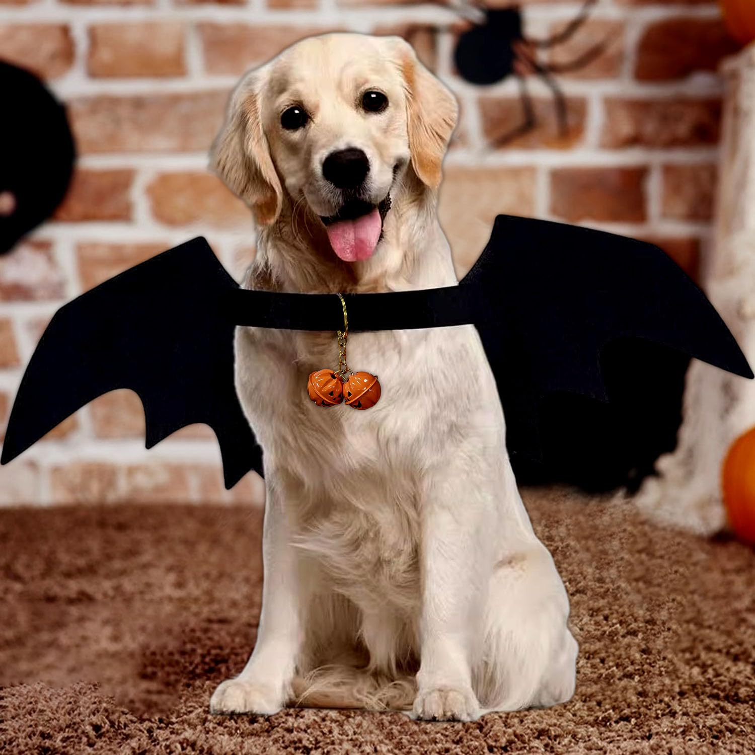 Déguisement Chien Ailes Chauve-Souris - Costume Halloween Fêtes, Taille S M L, Feutre - 8