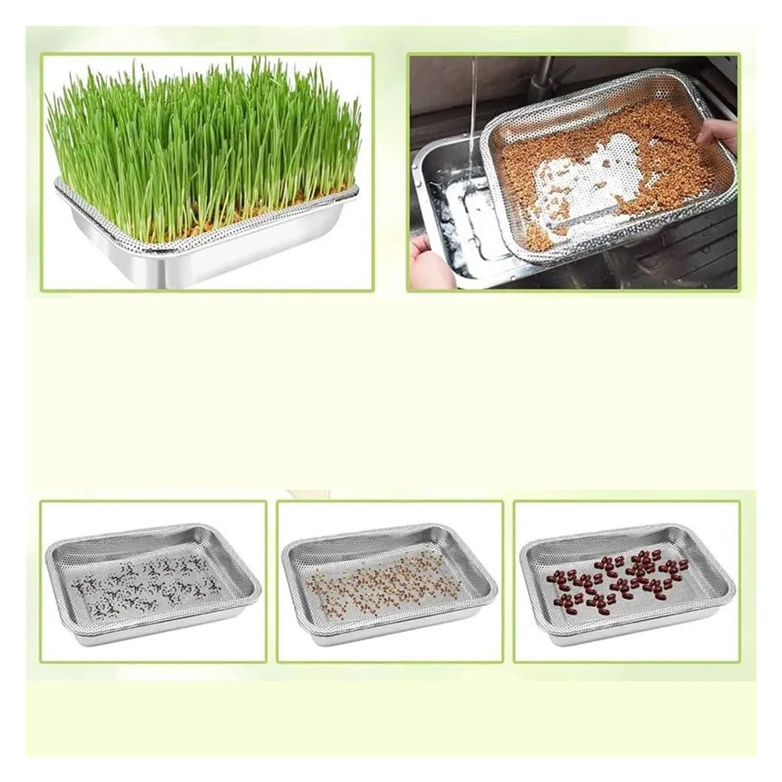 Générique Kit de Culture germes en Acier Inoxydable, Plateaux à 2 Niveaux 10.4 Pouces, microgreens, Plateau Germination graines avec Maille 4P