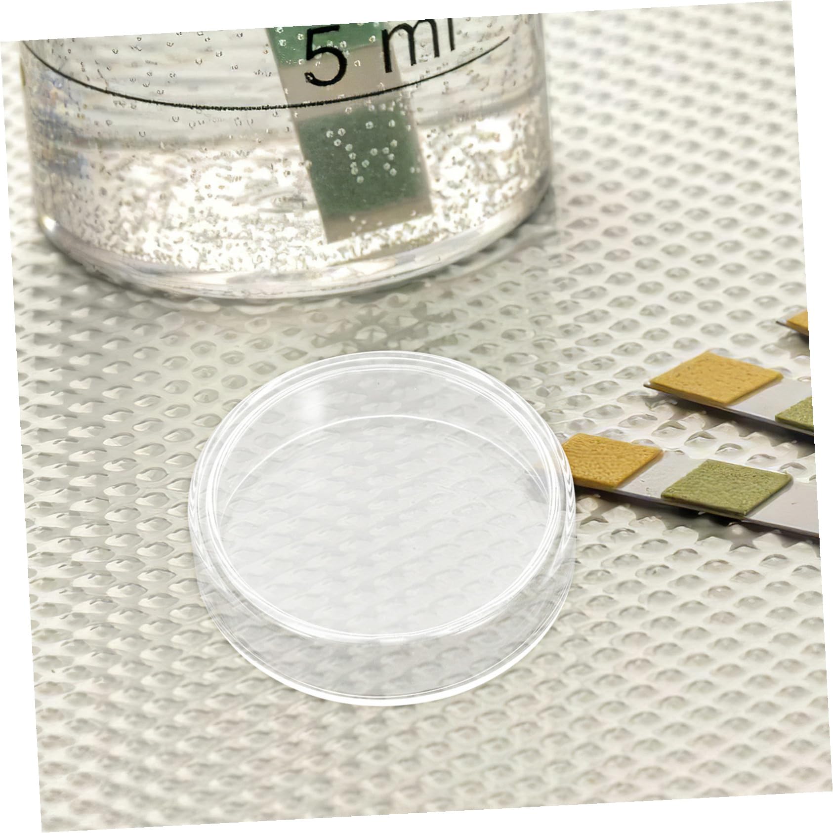 10 piezas Placas Petri de Vidrio Borosilicato Resistentes Altas Temperaturas con Tapa Reutilizables para Cultivo Celular y Experimentos de Laboratorio
