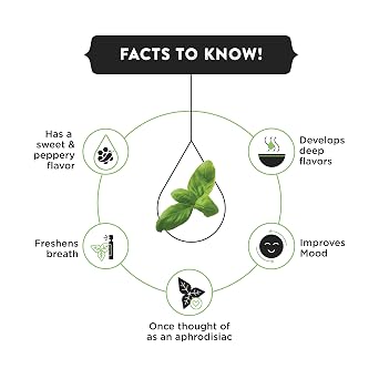 Spice Drop Basil Extract | 100% Natural | For Soup, Pasta, Pizza, Spaghetti, Gourmet Dishes | 0.17oz (180 drops) | Natural Herb Extract | Authentic Flavor | Vegan | Keto & Paleo Friendly | Non-GMO | Squeeze, Drop And Stir
