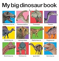 Algopix Similar Product 13 - My Big Dinosaur Book My Big Board