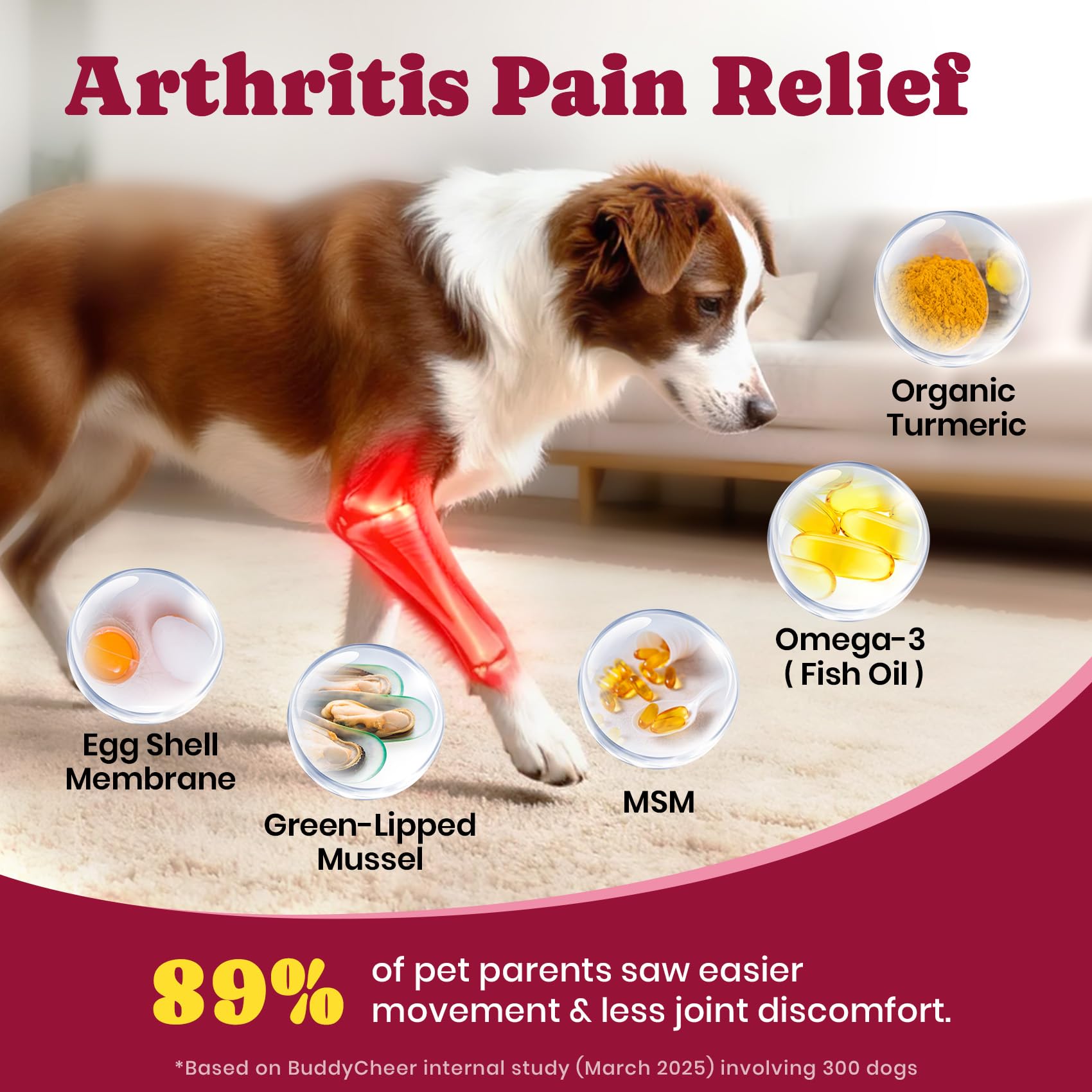 Glucosamine for Dogs - Hip and Joint Supplement Chews for Senior & Large Breed, Joint Supplement for Dogs with Chondroitin, Wuffe Joint Chews for Pain Relief - 60-Day Satisfaction Guarantee - 180 Ct - image 5