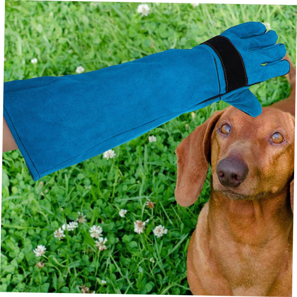 Cuir Synthétique Moufles Ergonomiques, Anti-morsure, pour Chien et Chat
