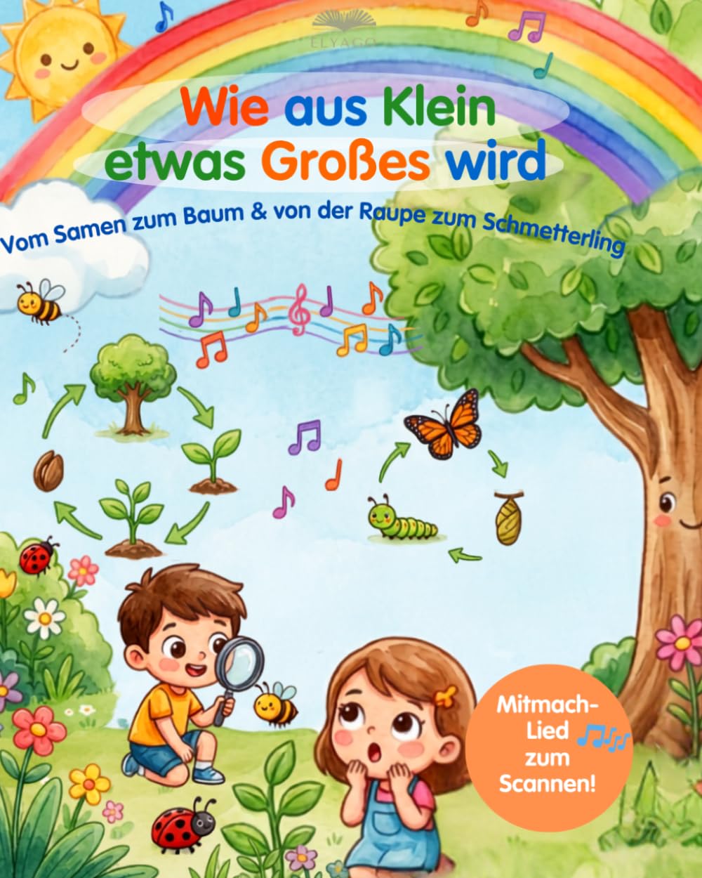 Wie aus klein etwas Großes wird: vom Samen zum Baum & von der Raupe zum Schmetterling
