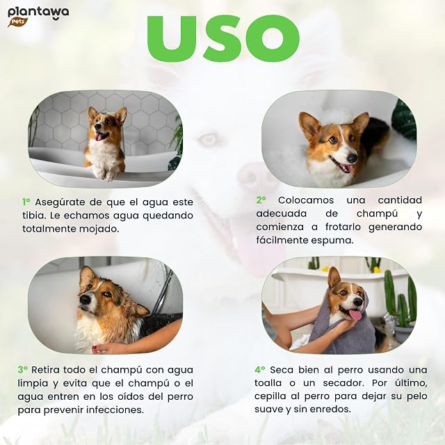 Foto 4 de 8 de PLANTAWA Champú para Perros Aloe Vera 1L
