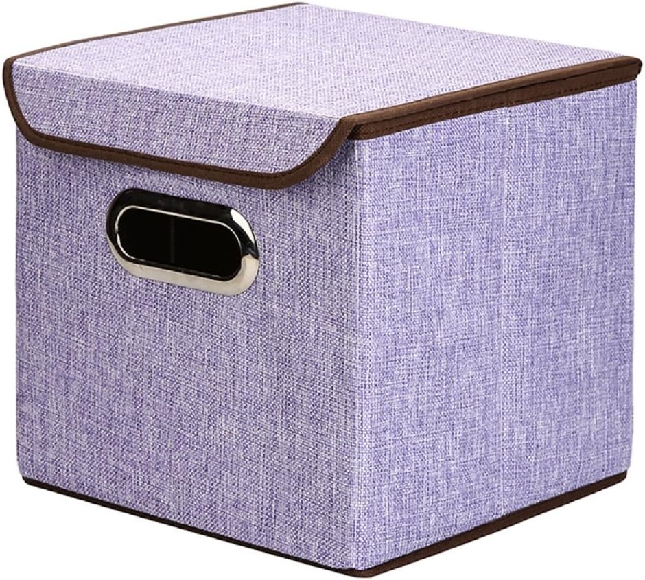 RoomDiary Foldable Non-Woven Storage Box Clothes Toys Cube Container with Lid 9.8"(Purple)