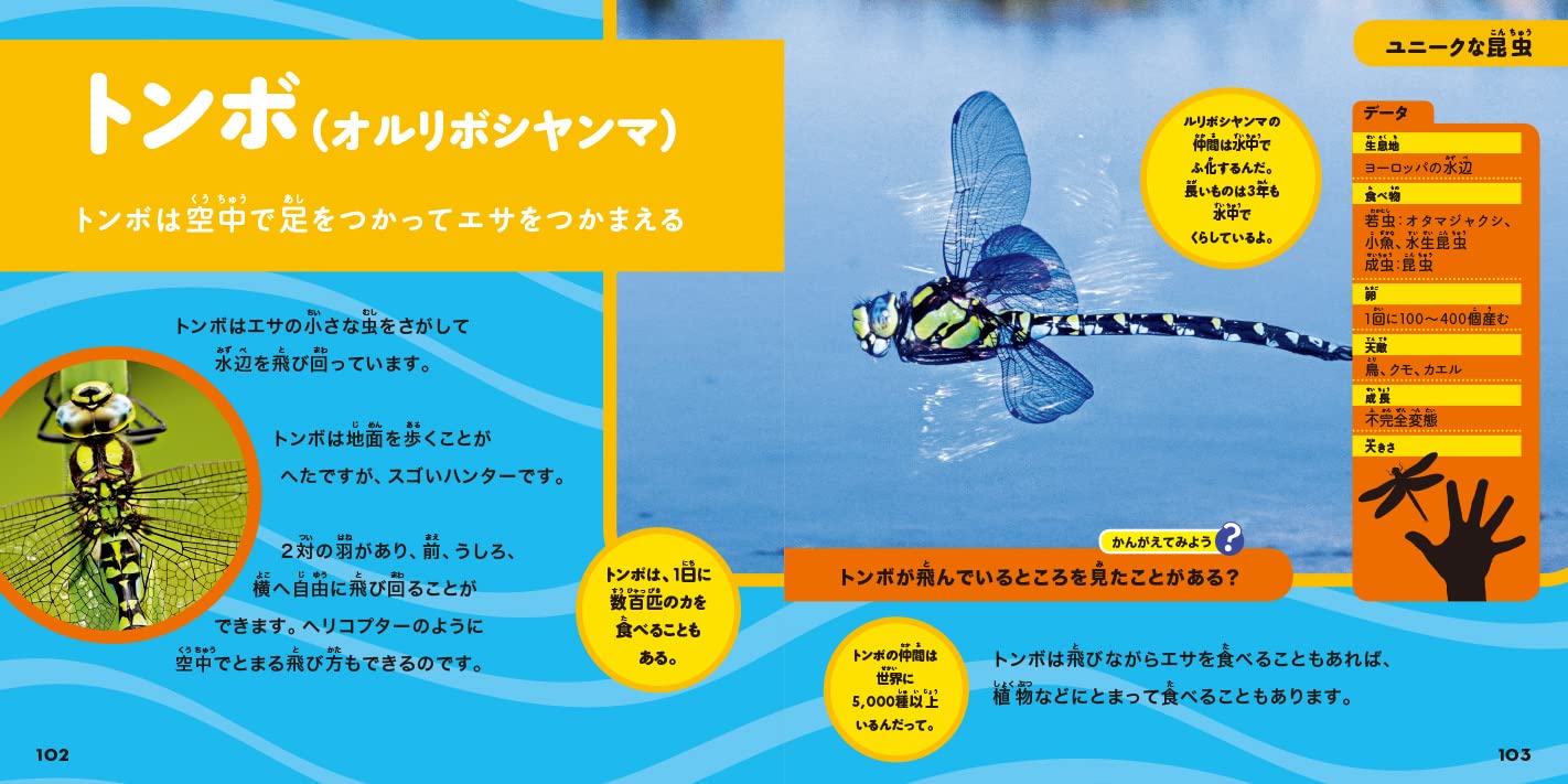 ナショジオキッズ 大きな写真で楽しむ はじめてのわくわく図鑑 世界の虫編 キャサリン D ヒューズ 新宅 広二 新宅 広二 本 通販 Amazon