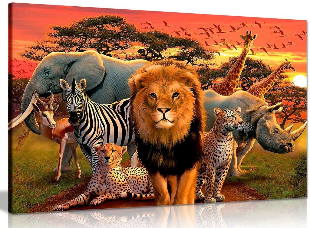 Panther Print Wildlife African Children Bedroom Canvas Wall Art Picture Print (30X20in)