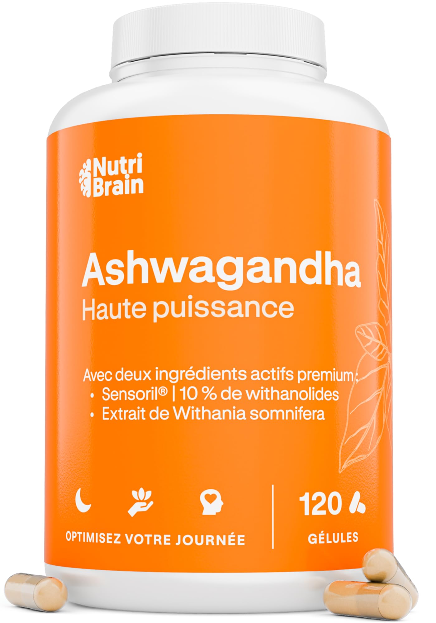 Ashwagandha High Potency: Adaptogène et Nootropique avec Sensoril® (10% Withanol