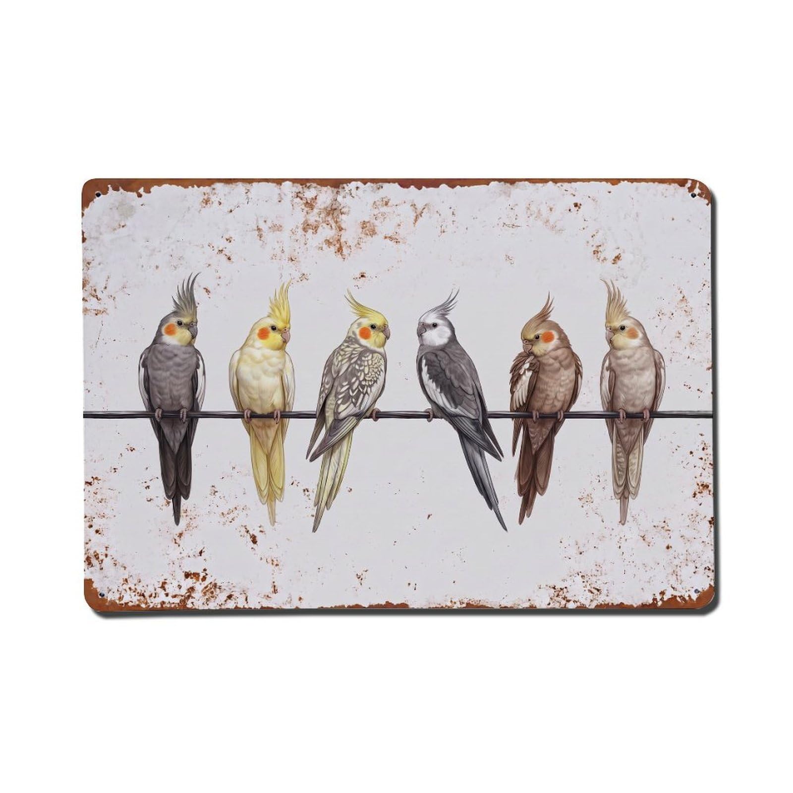 Vintage Retro Birds Cockatiel Metal Tin Sign