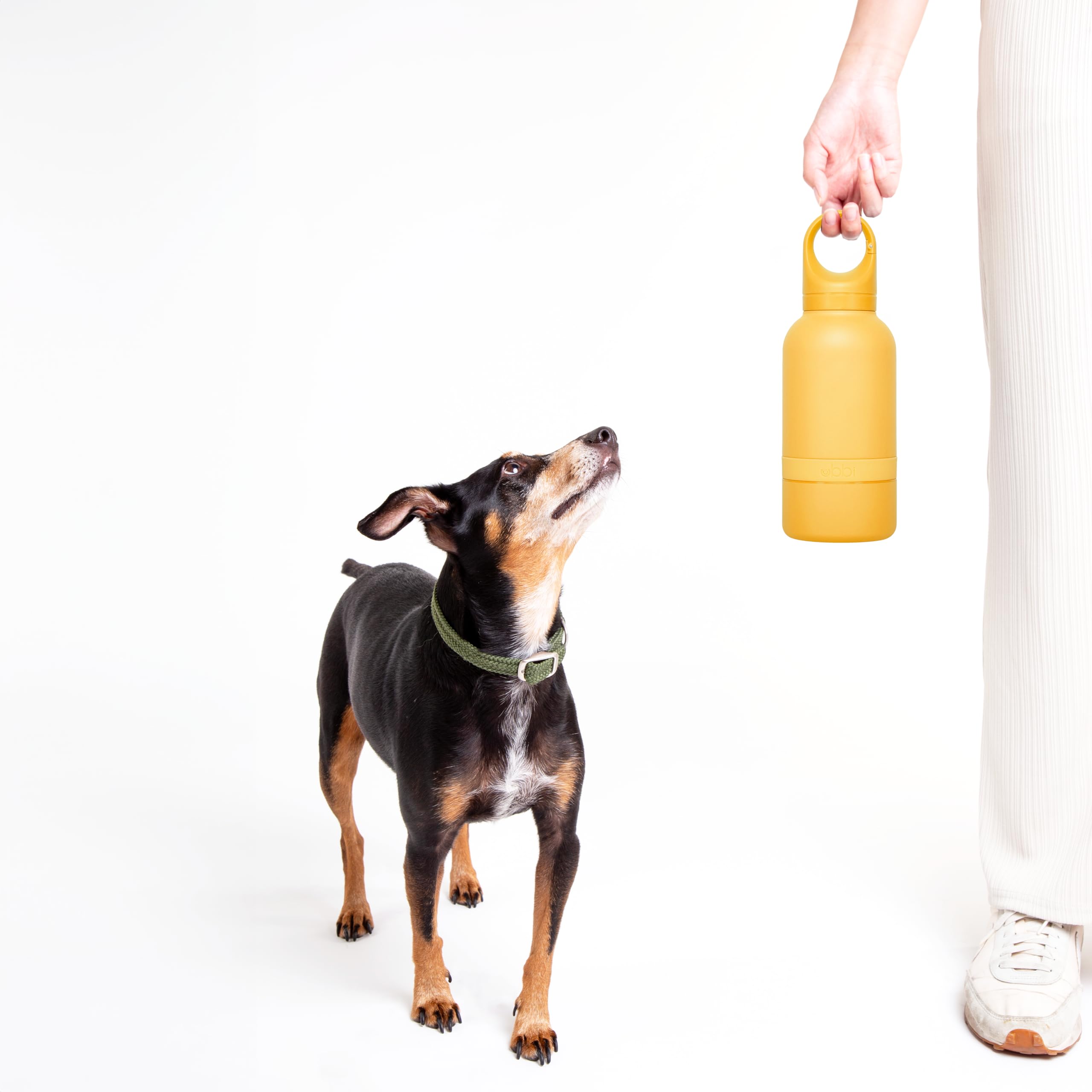 Ubbi Borraccia termica portatile in acciaio inox da 907 ml, per cani e proprietari con ciotola per cani attaccata, giallo