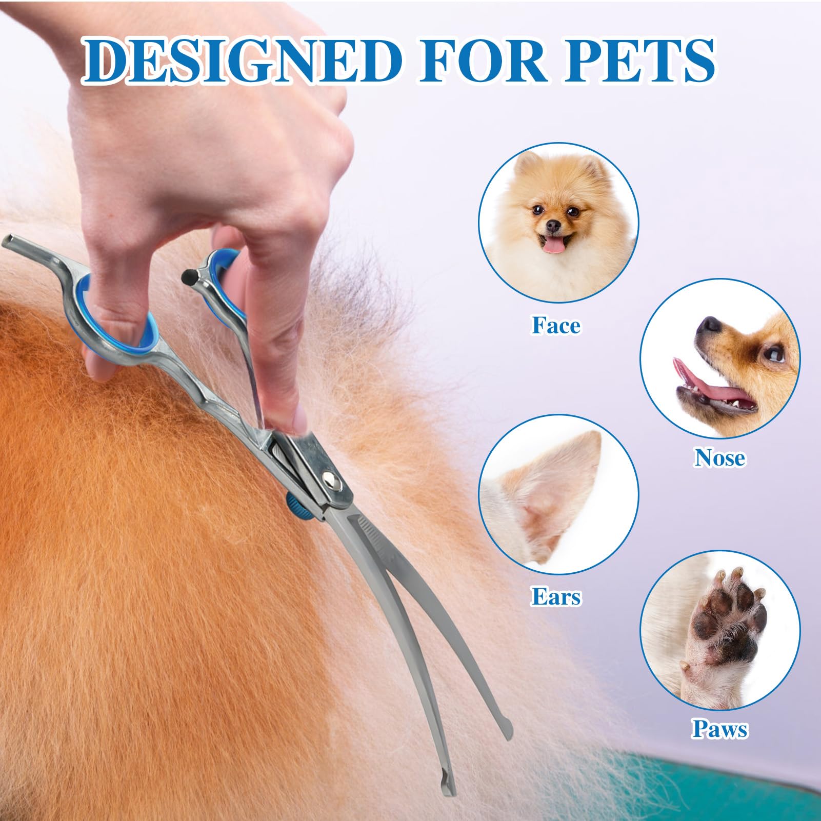 Ciseaux Courbes pour Toilettage d'Animaux | Ciseaux Toilettage Chien Professionnel | Acier Inoxydable avec Pointe de Sécurité Arrondie | Idéals pour Couper les Poils de Chiens et Chats