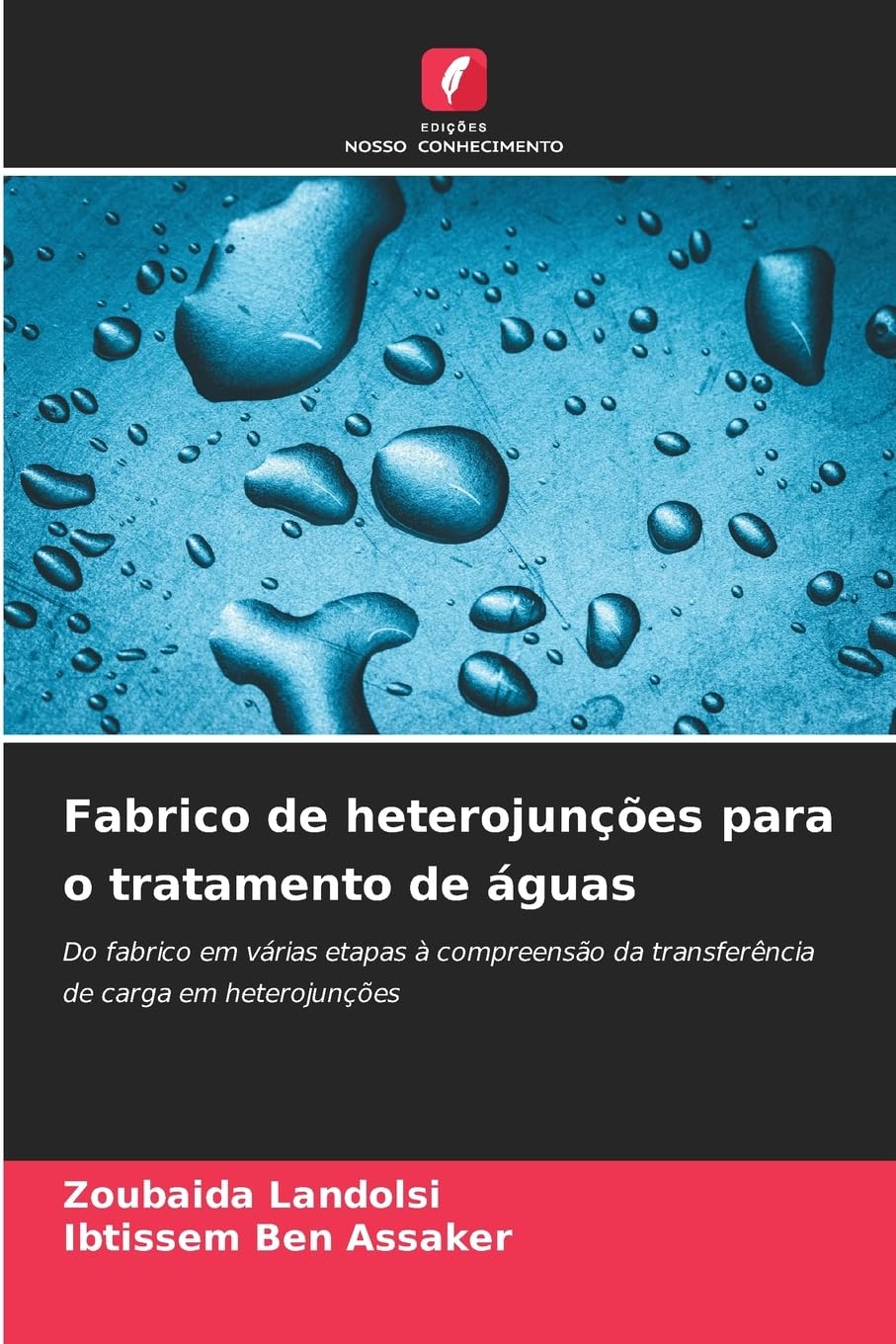 Fabrico de heterojunções para o tratamento de águas: Do fabrico em várias etapas à compreensão da transferência de carga em heterojunções