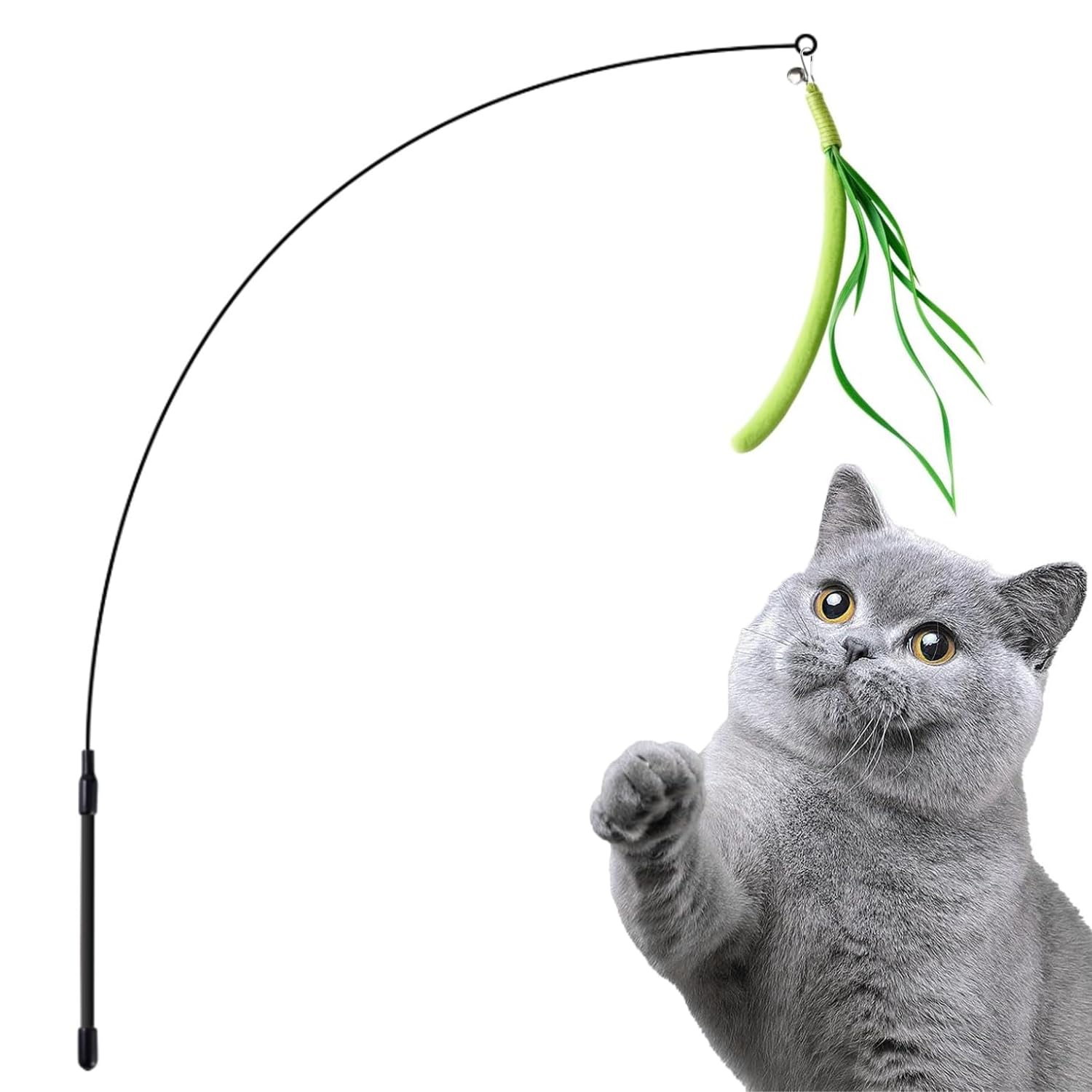 Amazon | 猫じゃらし、猫おもちゃ、猫のお遊びススキ草（エノコログサ