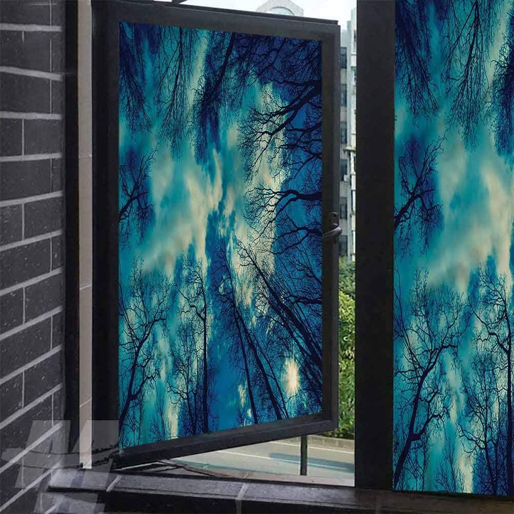 ScottDecor Uv Window Film Forest Exotic Tropical Woodland Window Cling