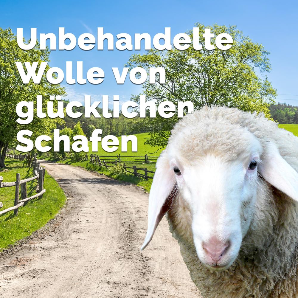 DIMIKRO Schafwollpellets - organischer Langzeitdünger - 2,5 kg | Natürlicher Dünger für Pflanzen, Gemüse, Obst- und Ziergehölze - fördert nachhaltige Böden im eigenen Garten