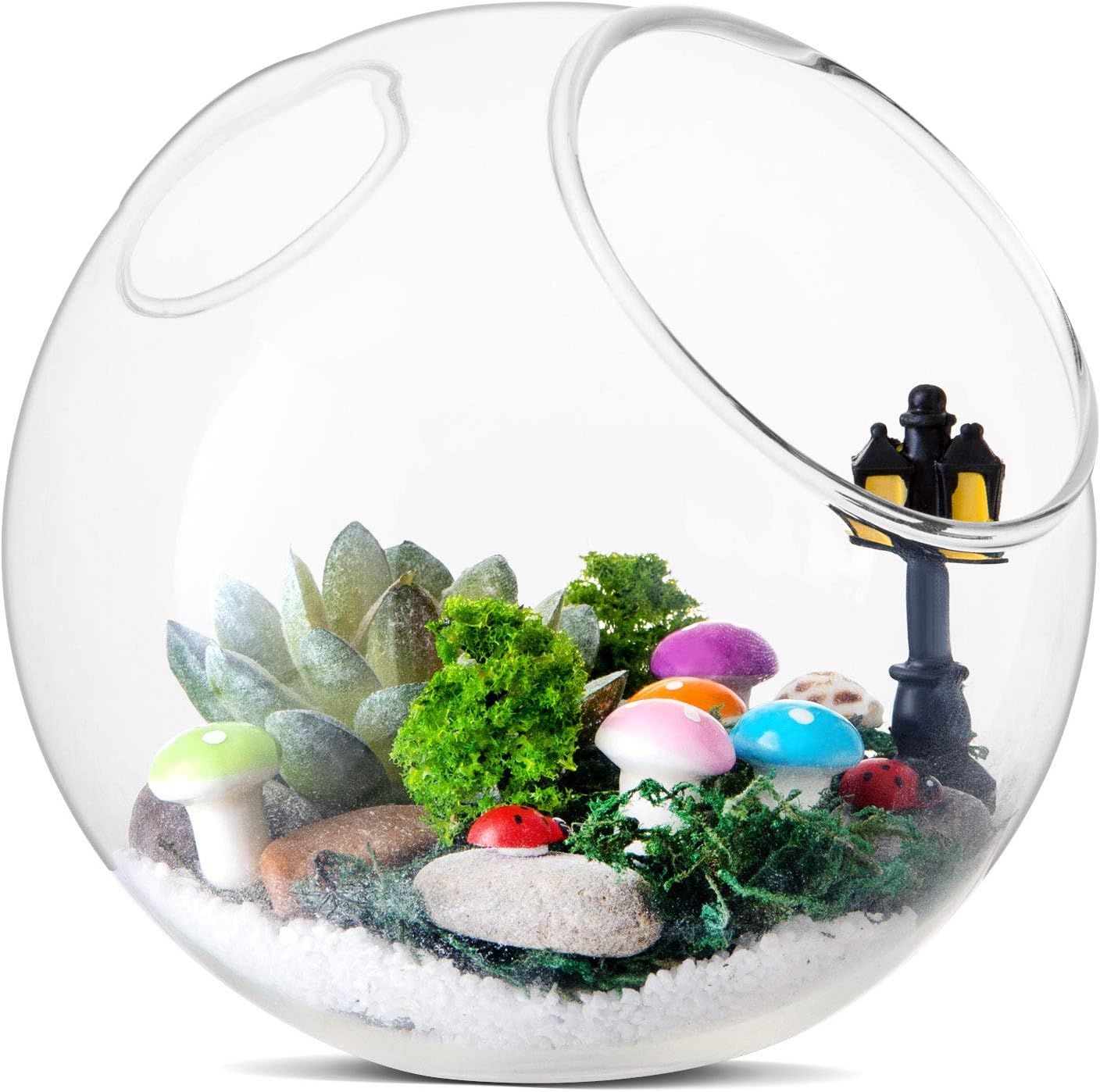 Amazon Lihao 苔テラリウム ガラス花瓶 Diy森 手作り 多用途 装飾 飾り 透明 金魚鉢 アクセサリー 植物 オーナメント 多肉 プレゼント 飾り物付き ガーデン