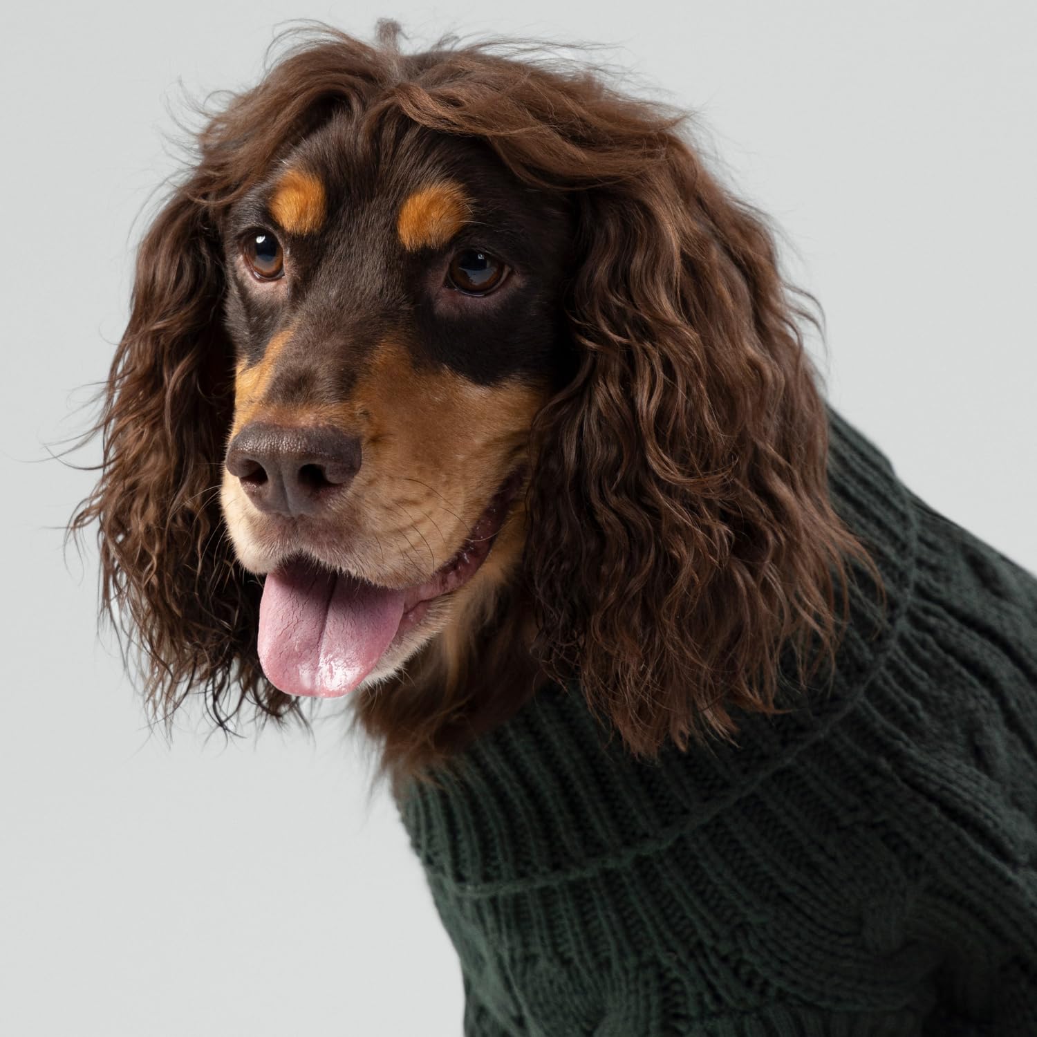HUGO & HUDSON x Hackett Hundepullover mit Zopfmuster, Warmer Rollkragenpullover aus Strick, Grün, XL
