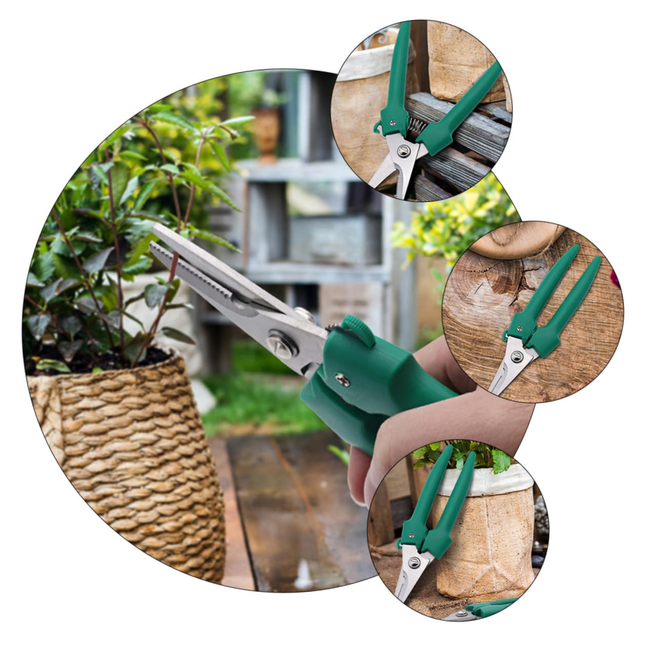 TOYANDONA 2 Piezas Tijeras De Podar Jardinería Tijeras De Rama Cortador De Uva Corte Tijeras De Arbustos Tijeras Para Podar Plantas Tijeras De Jardín Acero Inoxidable Verde