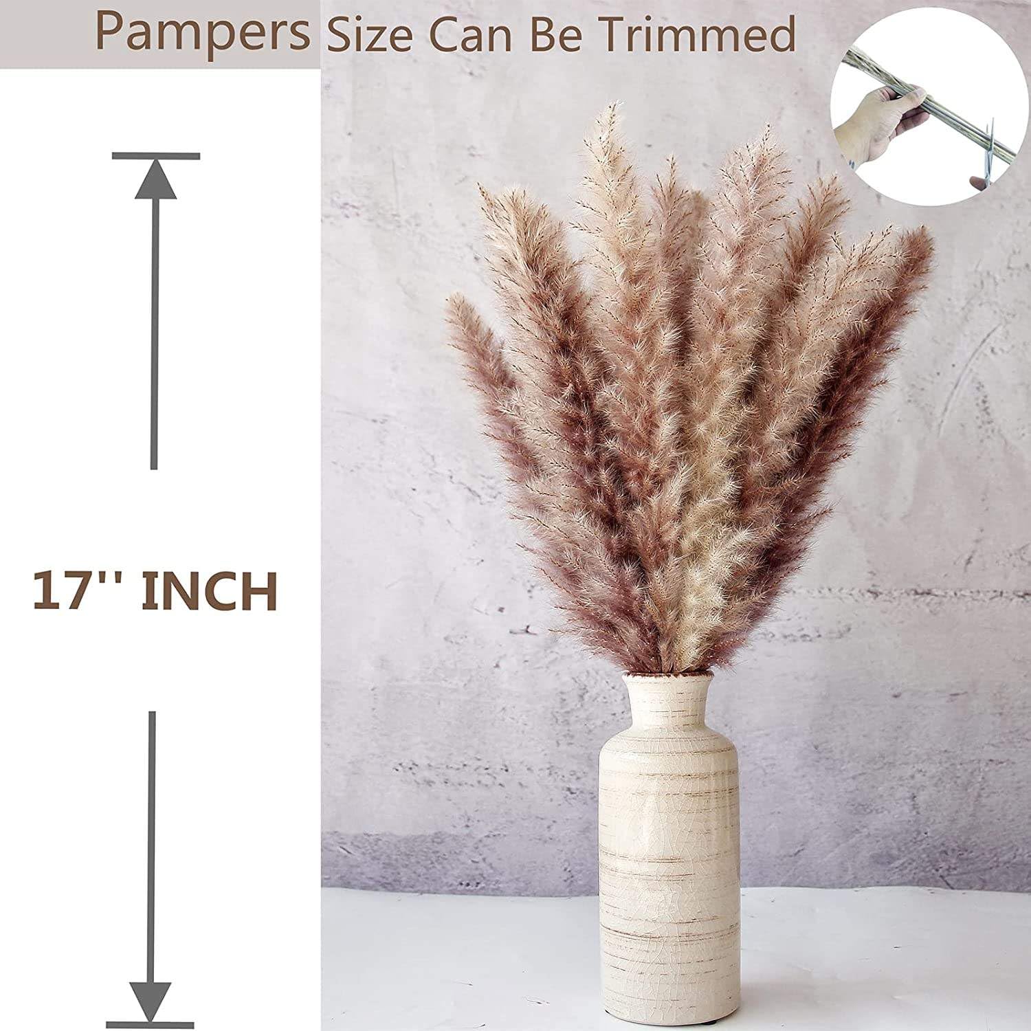 Pampasgras Boho Dekor, Getrocknetes Pampasgras Kaninchenschwanzstrauß für Vase Home Wedding Decoration(30pcs)