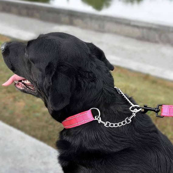 Dog Harness Collar Leash Connector, Metal Dog Collar Safety Clip