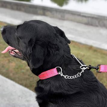 Dog Harness Collar Leash Connector, Metal Dog Collar Safety Clip