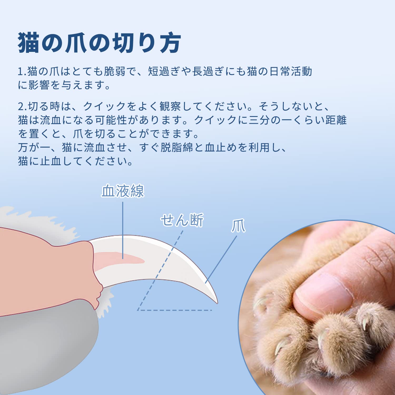 ペット用　犬猫　爪整える Amazon | CUSTIC 猫 爪切り 犬 爪切り【升级版ペット用爪切り& 爪