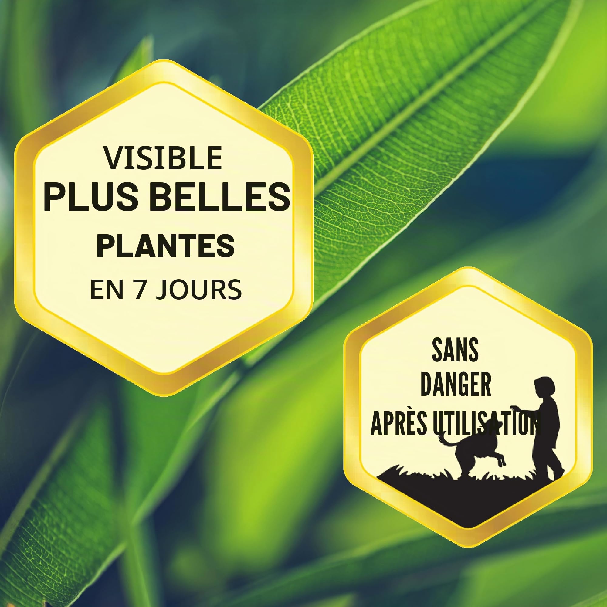 Substral Engrais liquide pour plantes vertes et palmiers, 500 ml, réduit les carences en nutriments, favorise la croissance et le vert feuillu