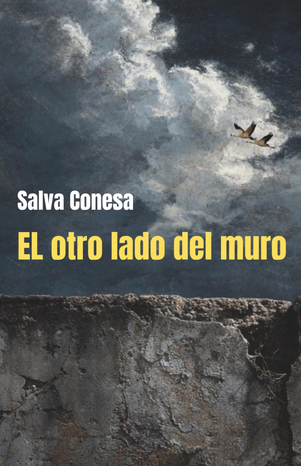El otro lado del muro