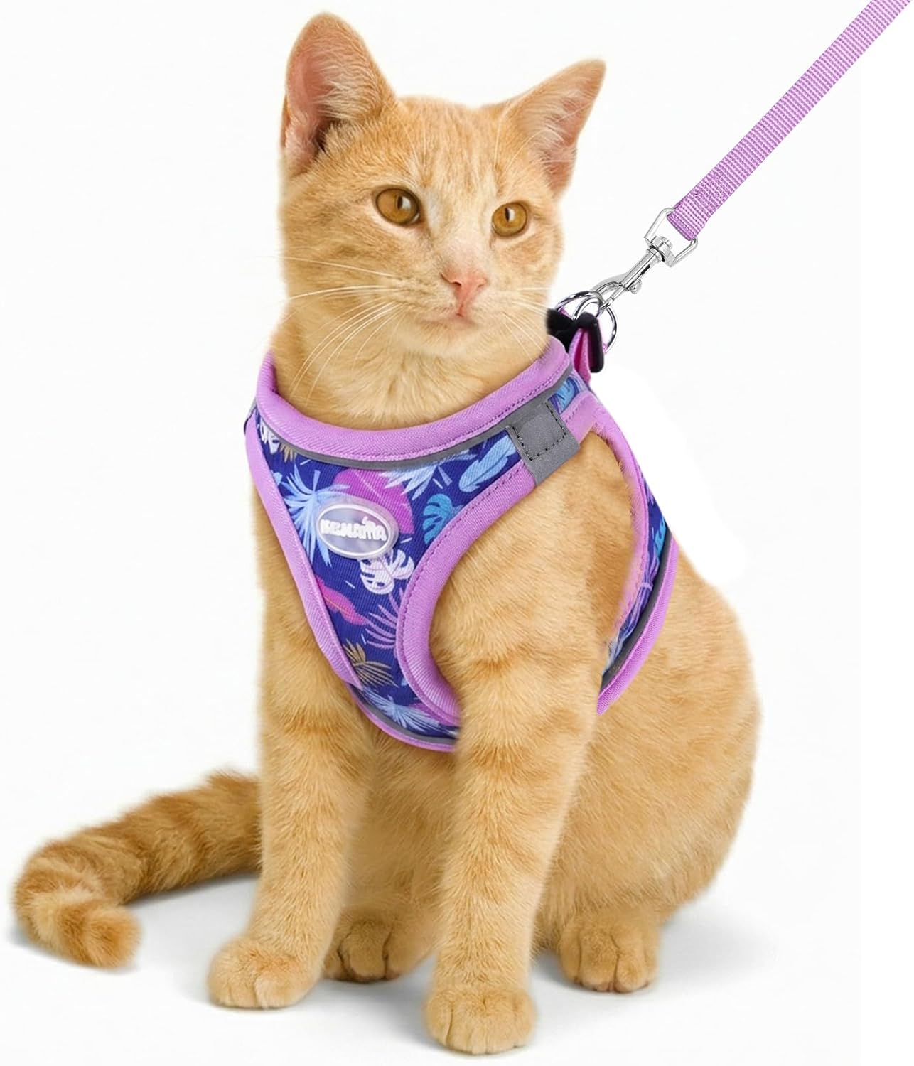 Cat Vest Harness and Leash Set,Escape Proof for Kitten Purple XS | Adjustable Soft, Comfortable Breathable Mesh,Easy Wear Buckle, Lightweight, Reflective Strips for Kitty Bunny Puppy Walks XS