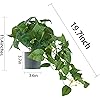 Product Photo 2