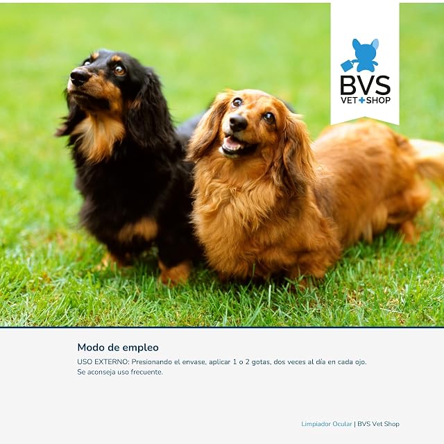 Foto 4 de 7 de BVS Vet Shop