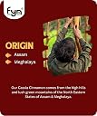 FYN Cinnamon (Cassia) Dalchini Sticks/Rolls (100g) - Flavorful, Aromatic Whole Spice for Garam Masala, Cooking gallery image