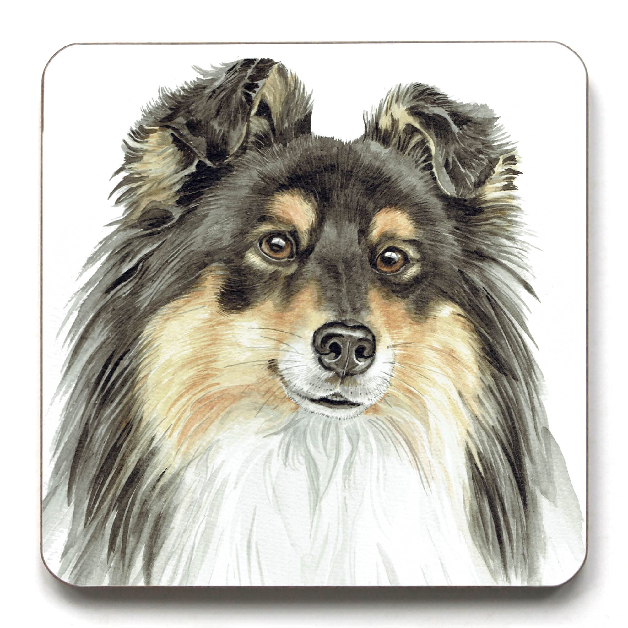 Tri Shetland Sheepdog Dog Breed Coaster (CST-257)