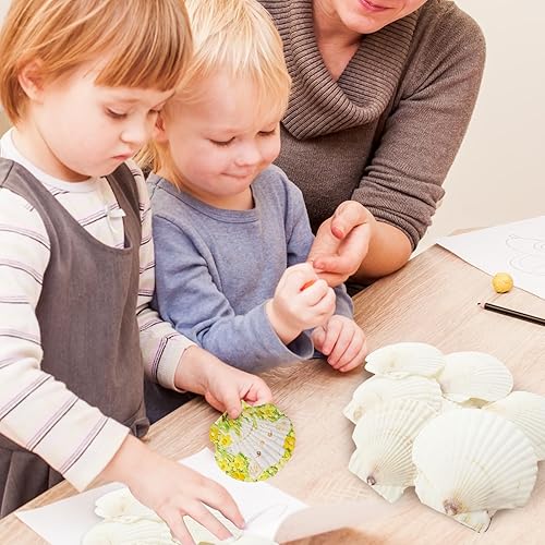 Miniatura 4 de 24 conchas de vieira para manualidades, conchas de vieira naturales de 4 a 5 pulgadas, conchas marinas blancas para manualidades, pintura de