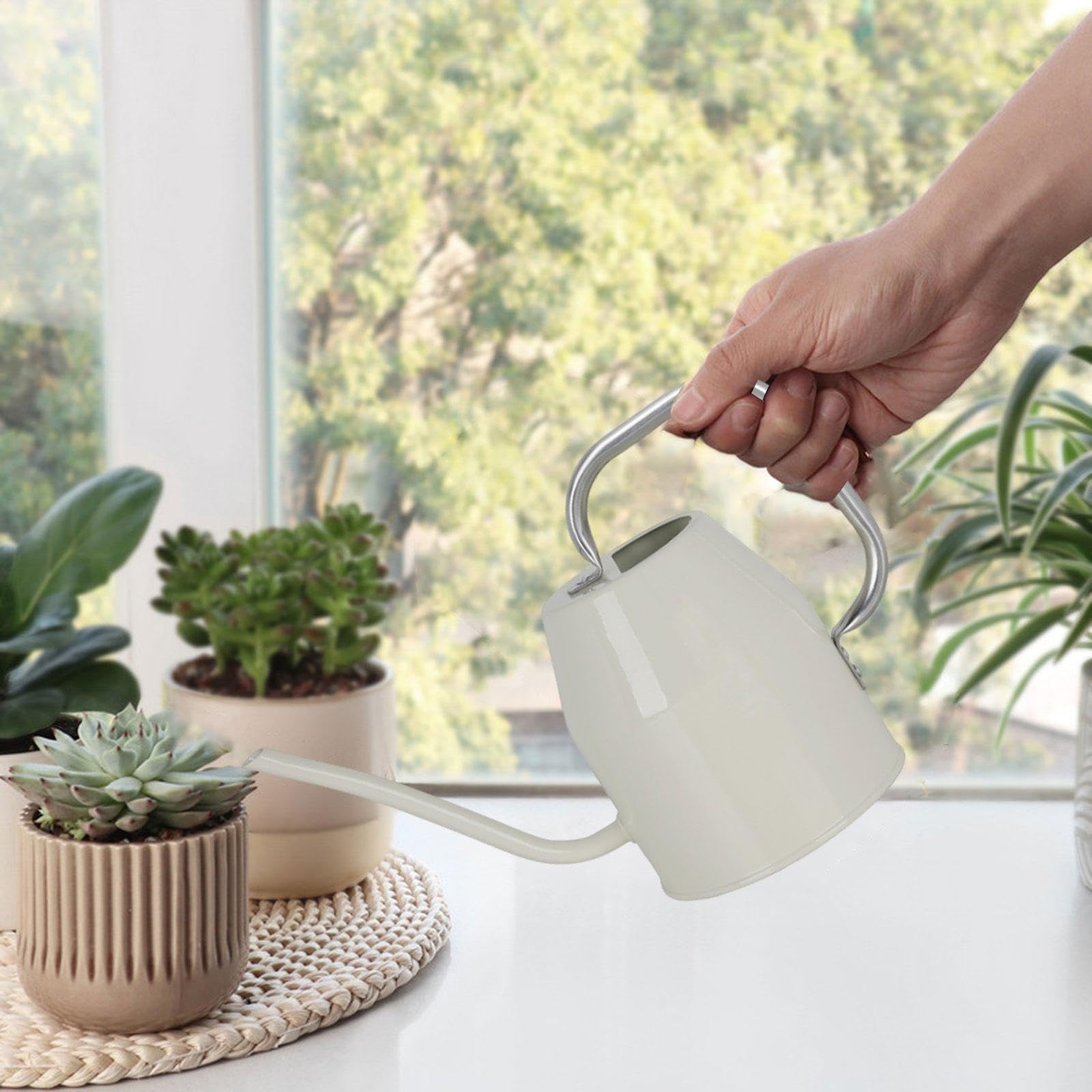 Arrosoir de Jardin à Long Col de 1 L pour D'intérieur et Jardin