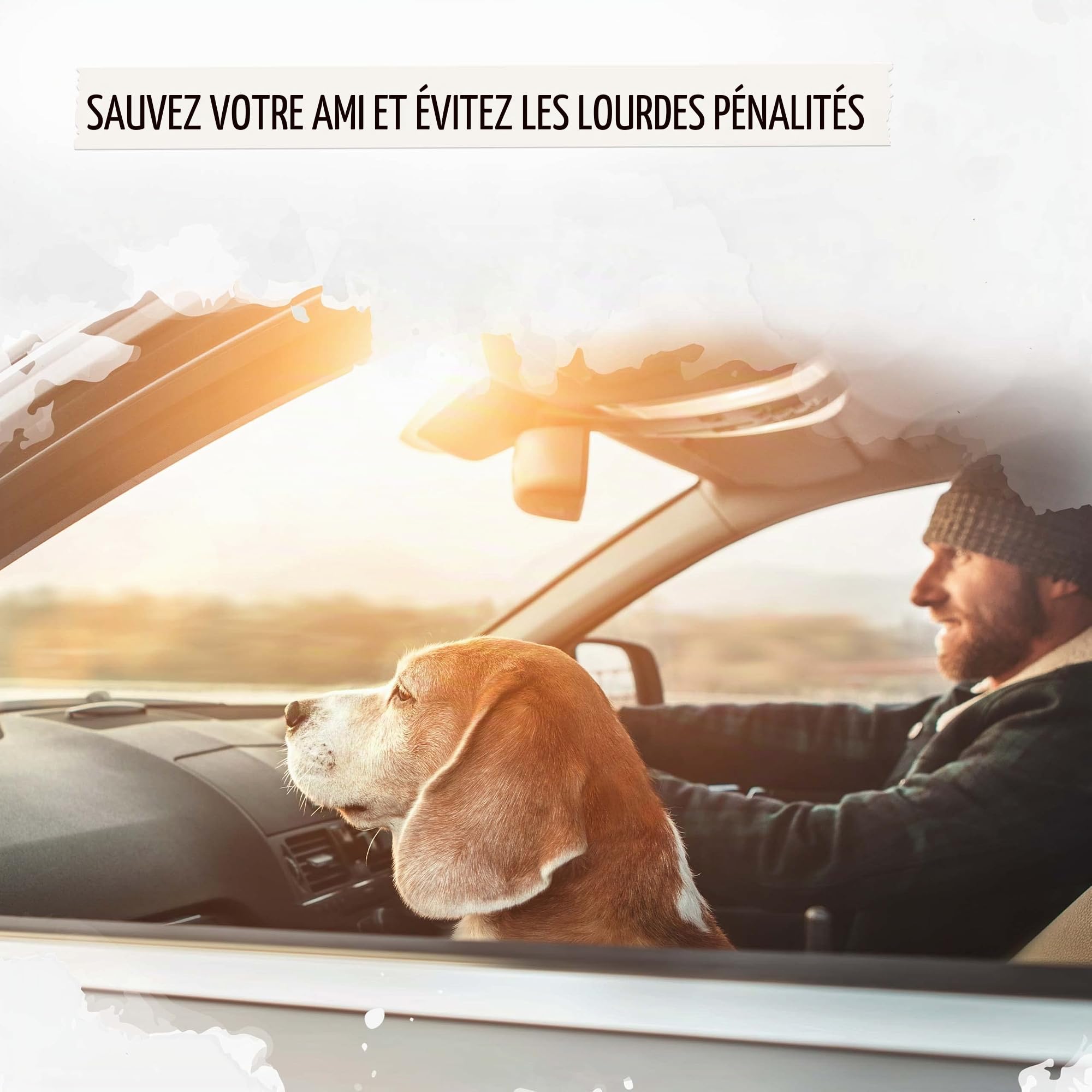 Rudelkönig Ceinture Chien Voiture - Réglable 60-80cm - Harnais Voiture - Ceinture sécurité - Ceinture Chien - Protection pour Toutes Les Races