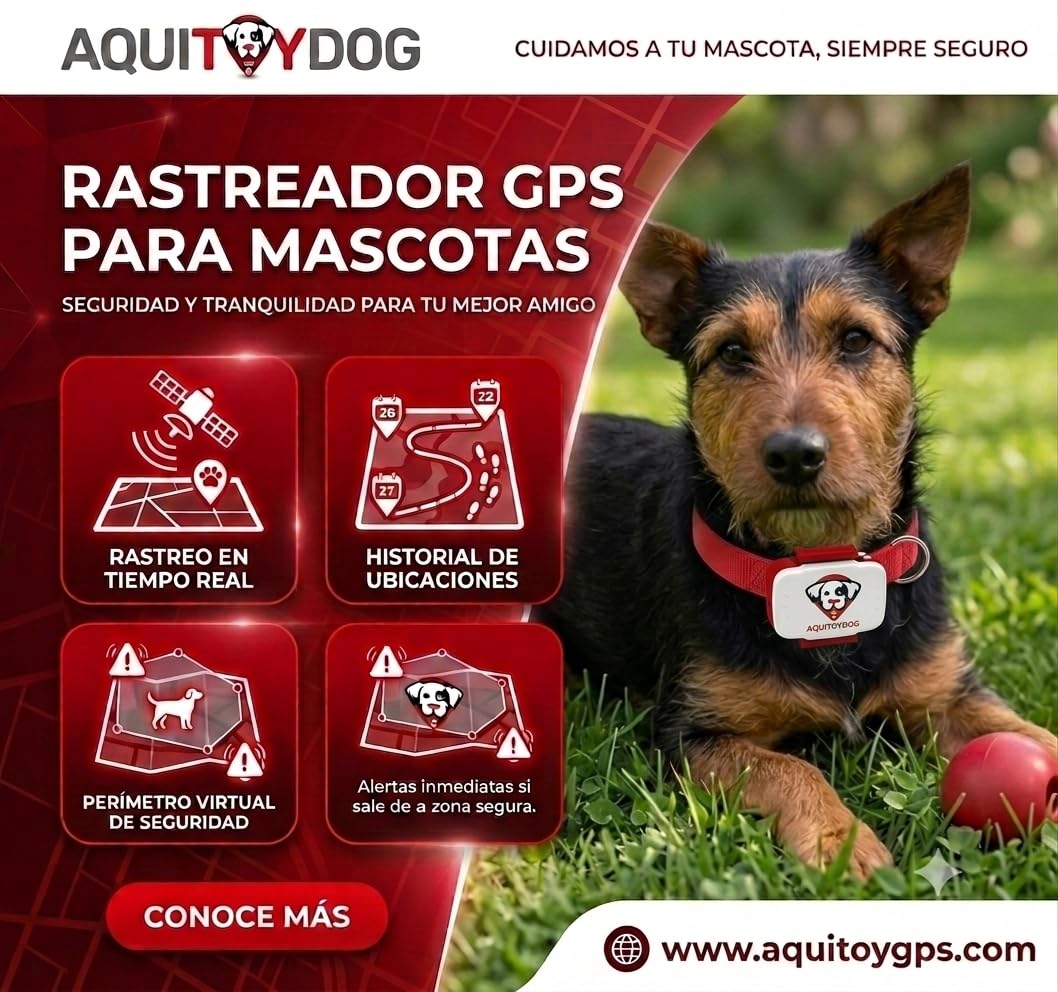 Localizador GPS ATD AL600 para Mascotas, rastreo en Tiempo Real Desde una App, monitorización de Actividad, Zonas seguras, alarmas sonoras y Luminosas.