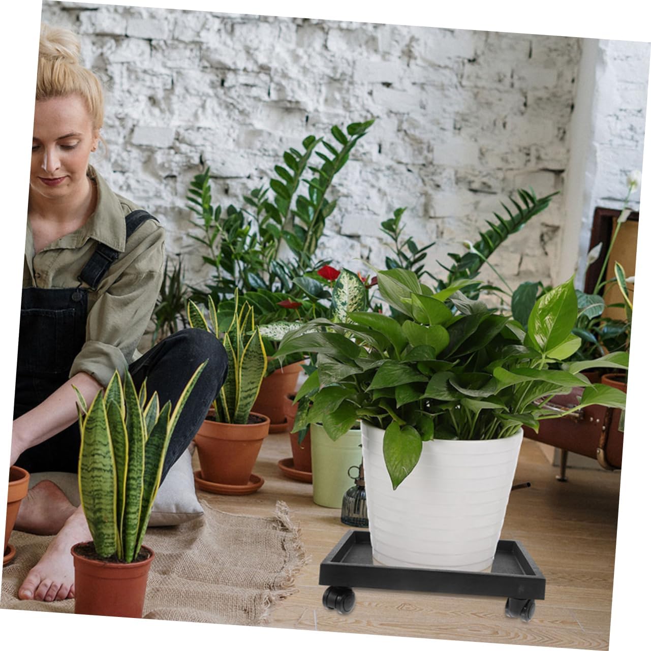 balacoo Rolling Plant Tray Wheels Heavy Duty Flowerpot Dolly Holder for Indoor and Outdoor Use Smooth-Gliding Mobile Plant Stand for Pots Floor Protection and Decoration