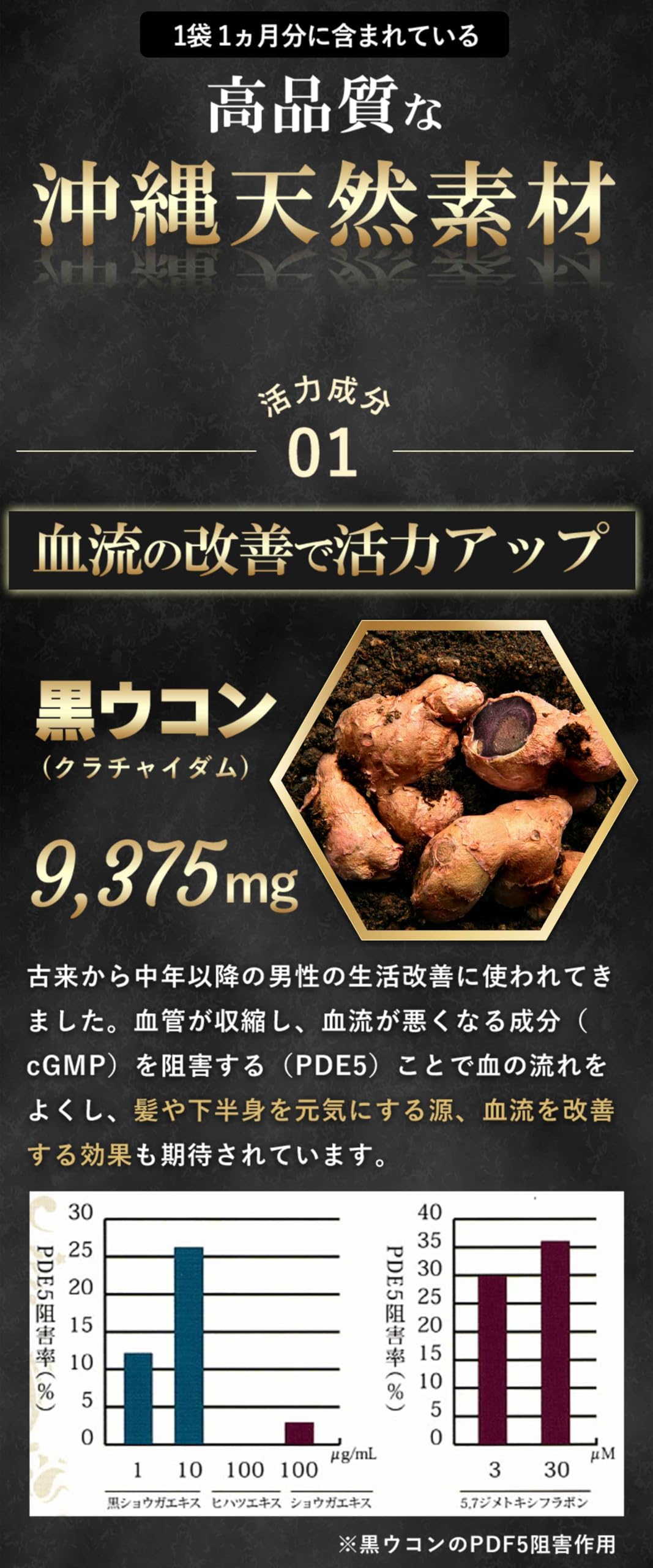 Amazon | M2（エムツー） サプリメント 黒ウコン（国内製造）モリンガ 