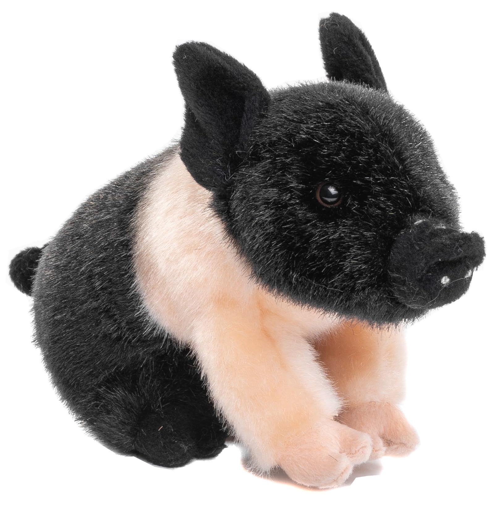 Uni-Toys - Angeln Saddleback Pig - 20 cm (length) - Piglet, Farm Animal - Plush toy, Cuddly Toy, Soft Toy