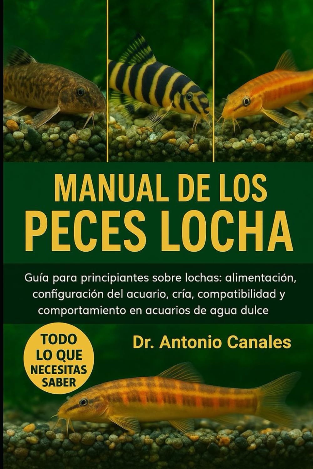MANUAL DE LOS PECES LOCHA: Guía para principiantes sobre lochas: alimentación, configuración del acuario, cría, compatibilidad y comportamiento en acuarios de agua dulce