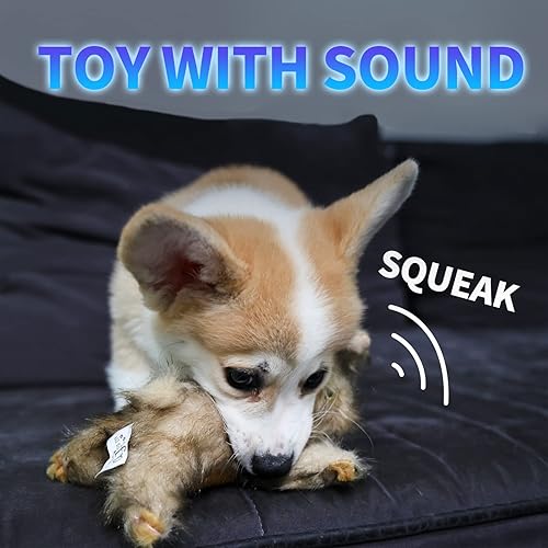 Miniatura 4 de ALL FOR PAWS Juguetes clásicos de conejo marrón para mascotas, pequeño