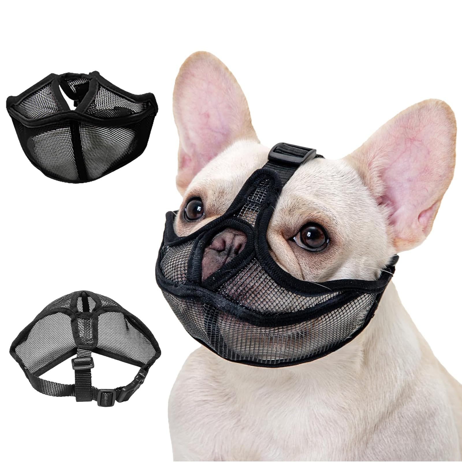 French Bulldog Muzzlem