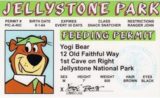 Signs 4 Fun Parody Driver’s License | Jellystone ID | Fake ID Novelty Card | Collectible Trading Card Driver’s License | Novelty Gift for Holidays | Made in the USA