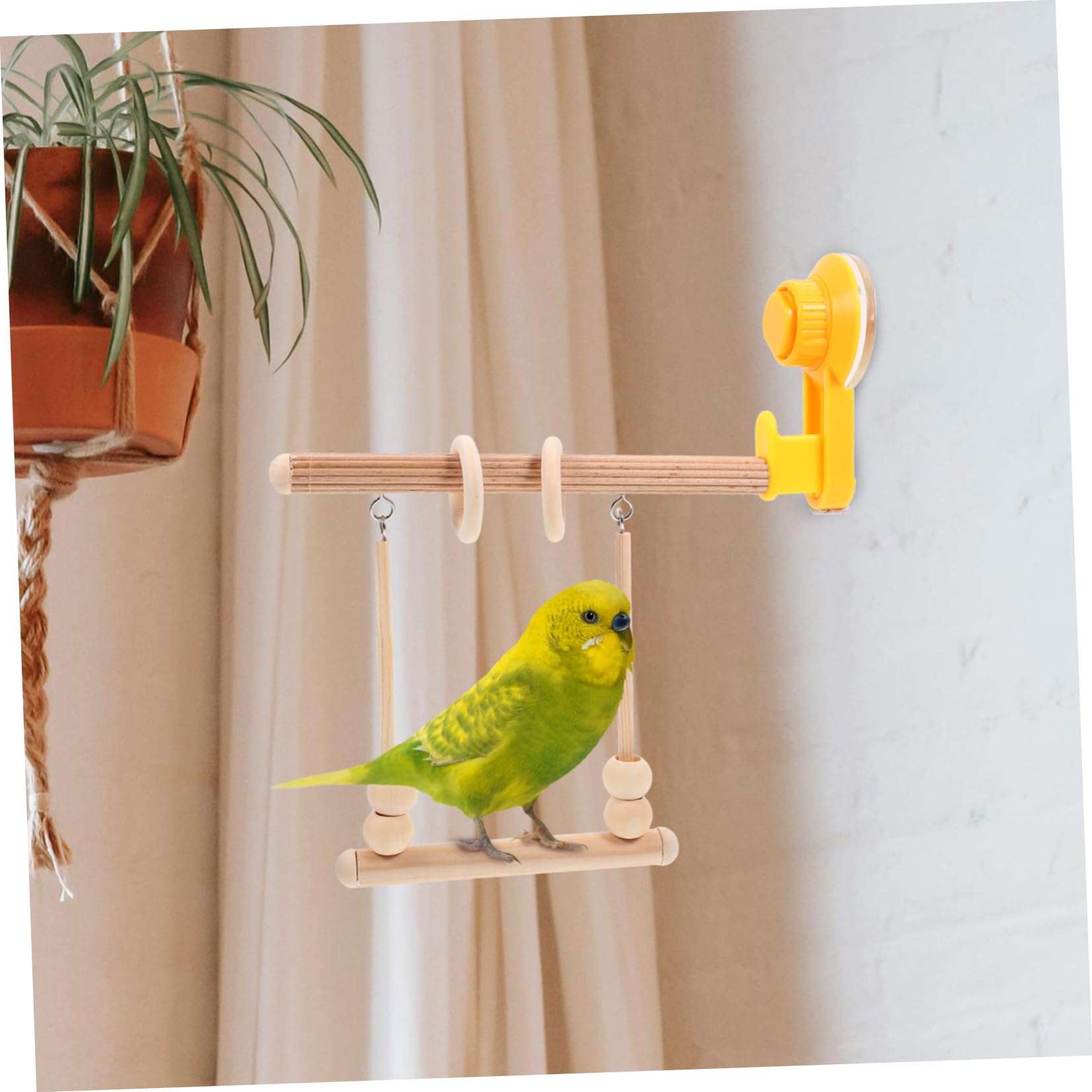 5 Stücke Vogel Barsch Für Käfig Papagei Spielzeug Tasse Stehen Vogel Ausbildung Stand Papagei Zubehör