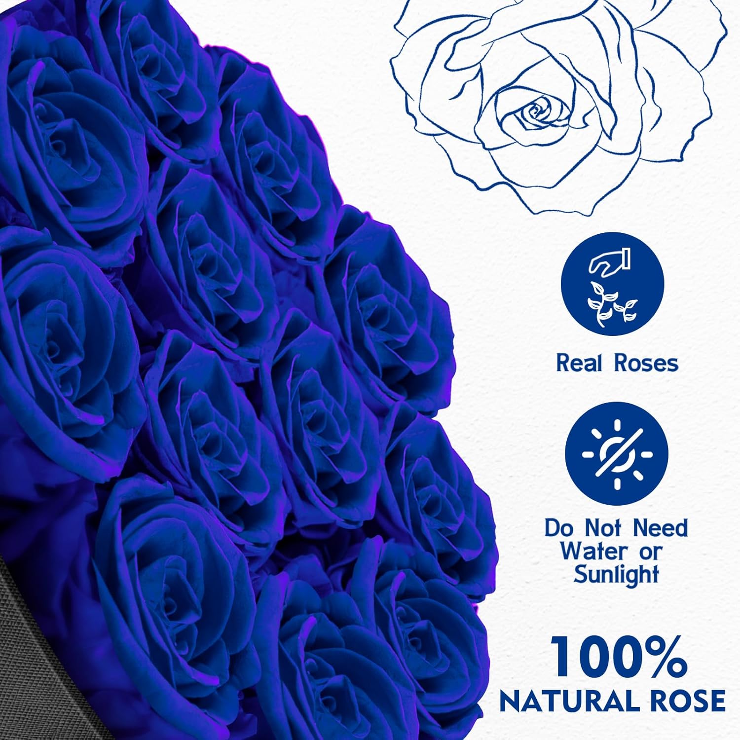 Forever Flowers,12 Roses in A Box，Real Preserved Roses，Birthday Gift for Women,Mother's Day, Anniversary - Blue Rose - Image 4