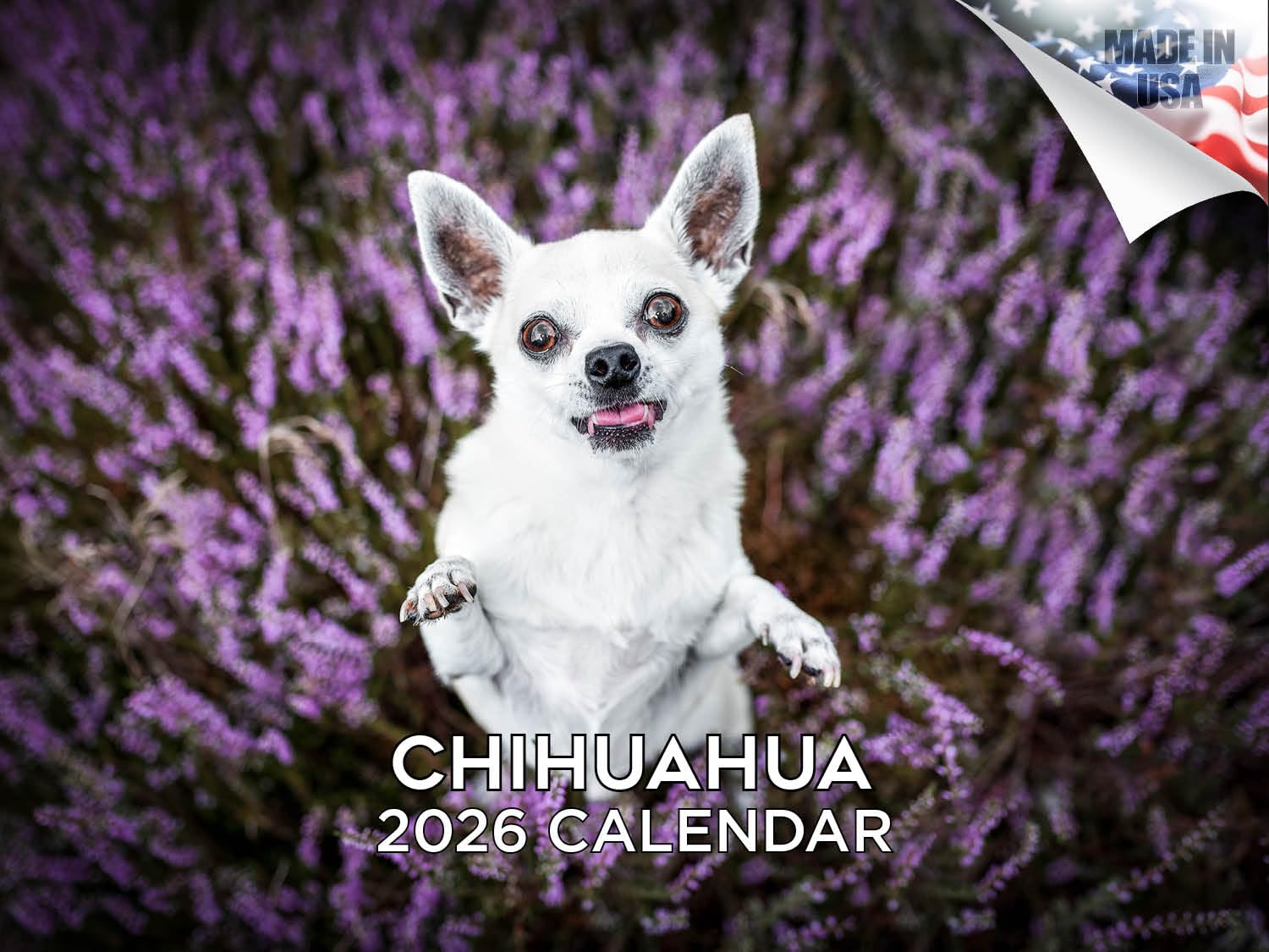2025 2026 Chihuahua Calendar - Dog Breed Monthly Wall Calendar - 12" x 18" Open - Thick No-Bleed Paper - Giftable - Academic Teacher's Planner Calendar Organizing & Planning - Made in USA