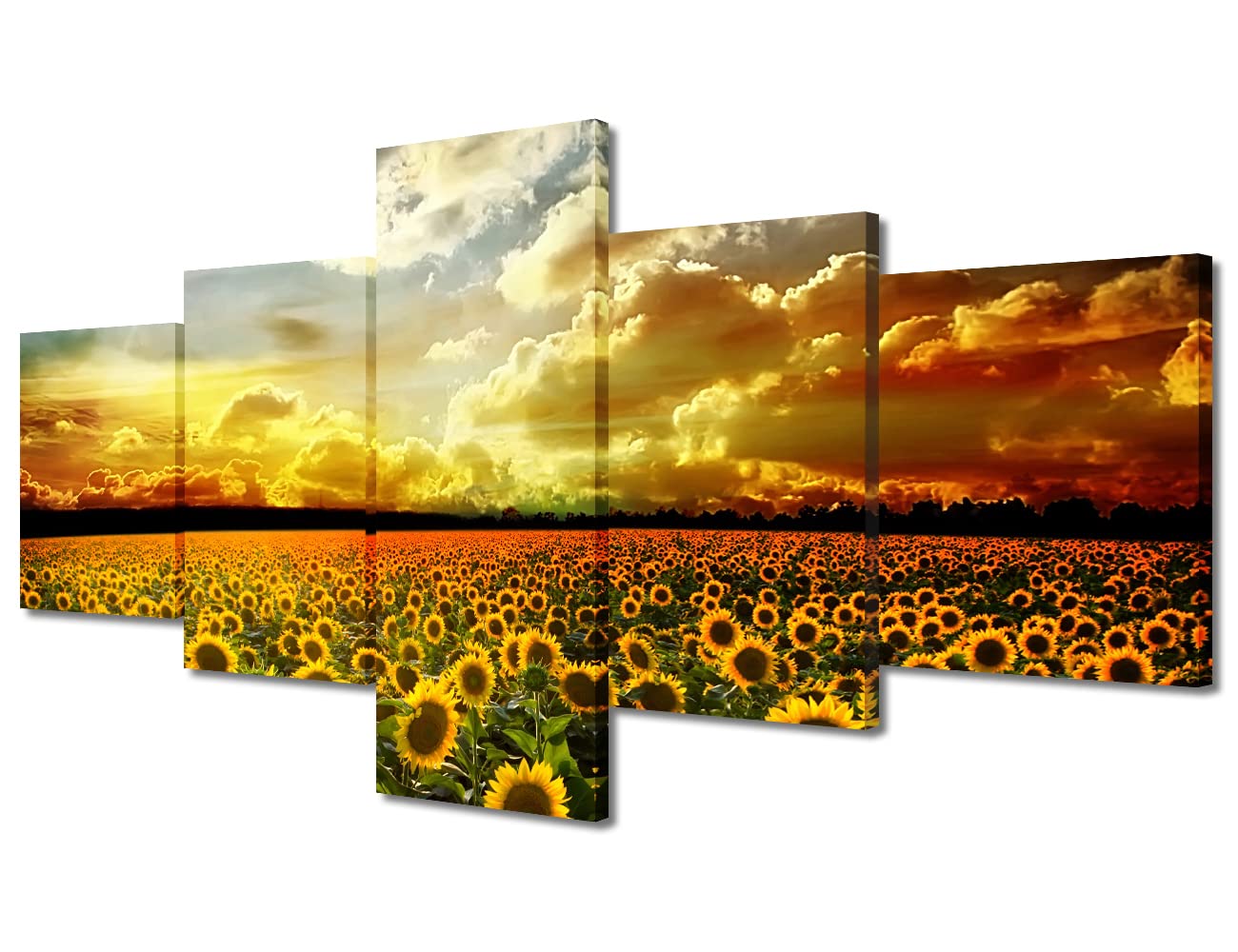 TISHIRON 5 Piece Canvas Wall Art Sunflowers Pictures for Bedroom Flower Fields under the Sunset Wall Paintings Modern Décor Artwork for Living Room Framed Ready to Hang(50" Wx24 H)
